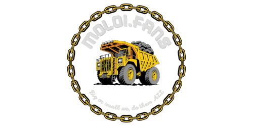 Website Logo